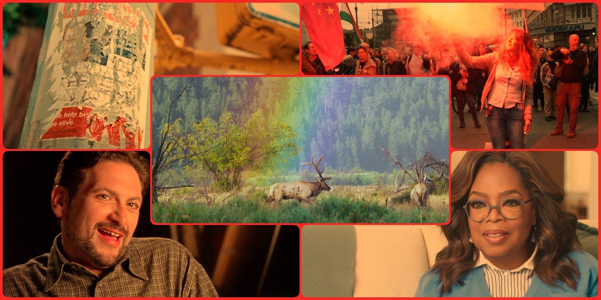 This Week In <b>Documentary</b> - American Southwest & Seen & Heard