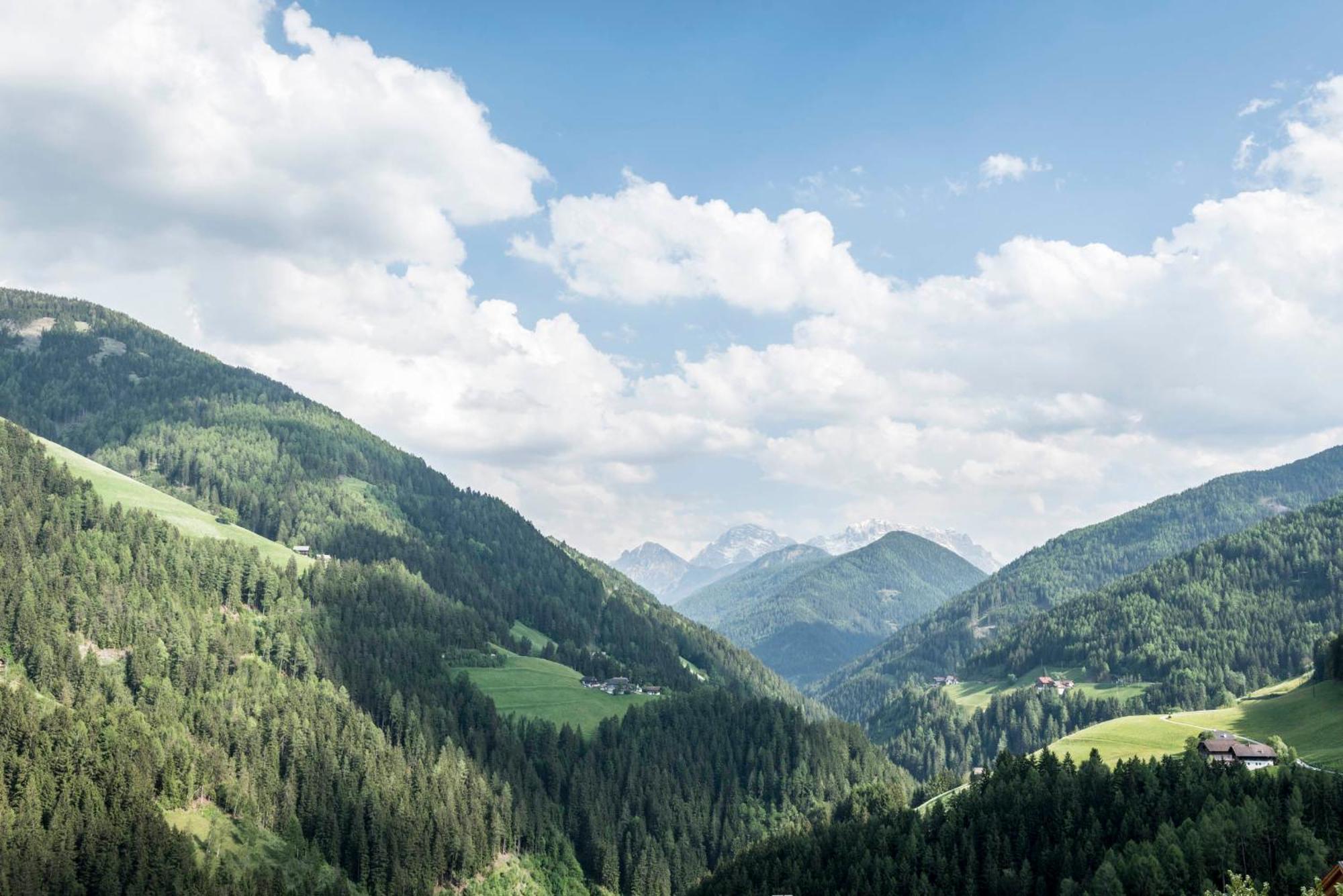 Suite Dolomiten mit Talblick