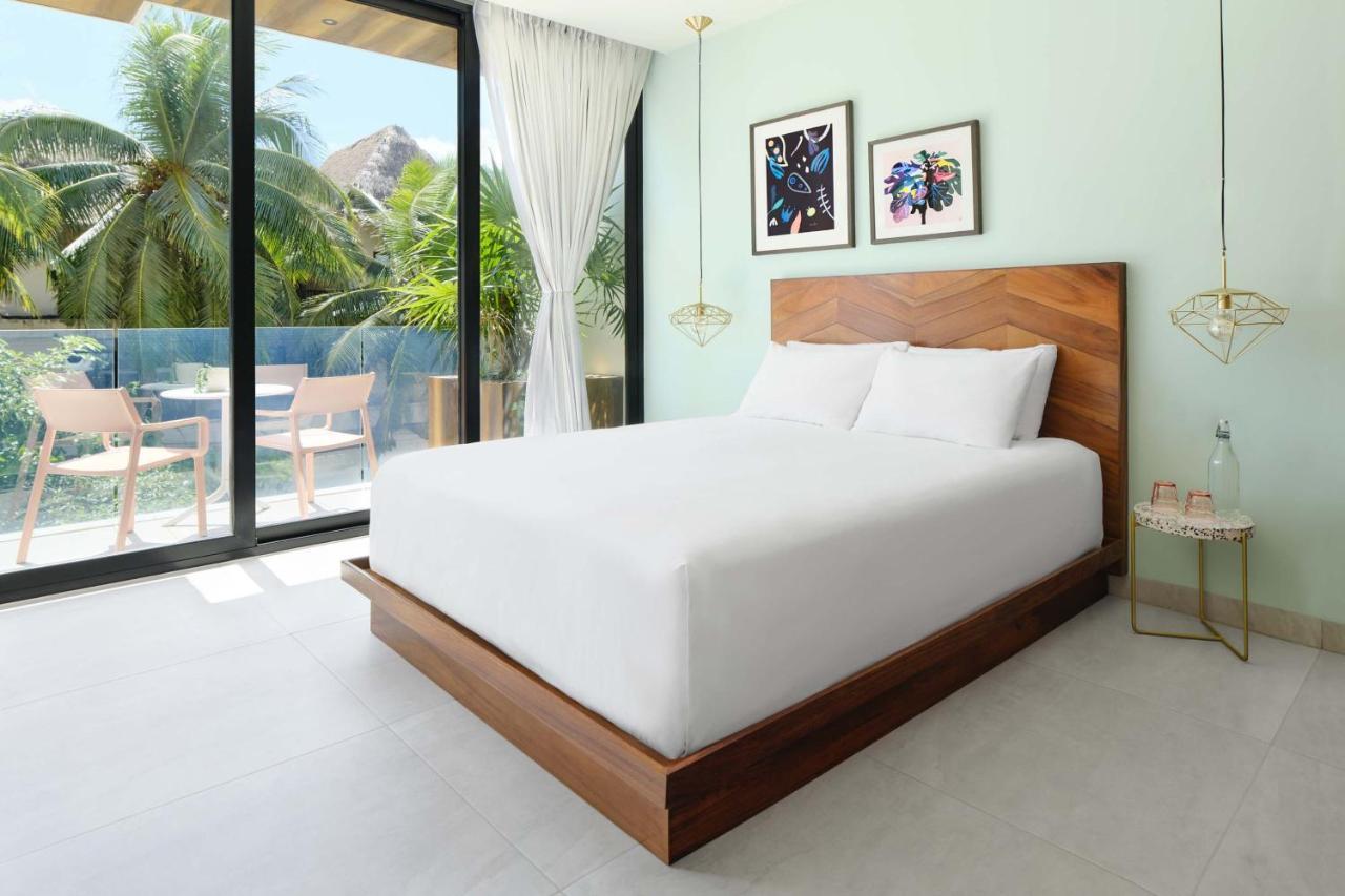 Habitación acogedora - 1 cama grande