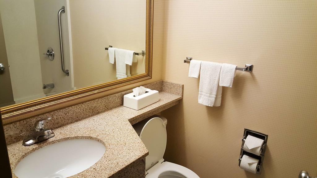 Deluxe Queen Room with Roll-in Shower - Disability Access