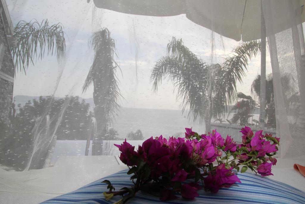 King Room with Sea View