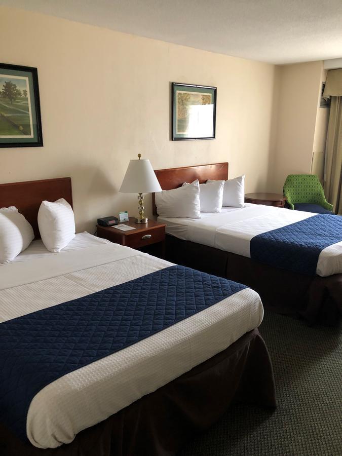 Double Room with Two Double Beds