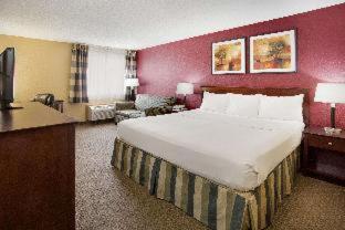 King Room - Pet Friendly