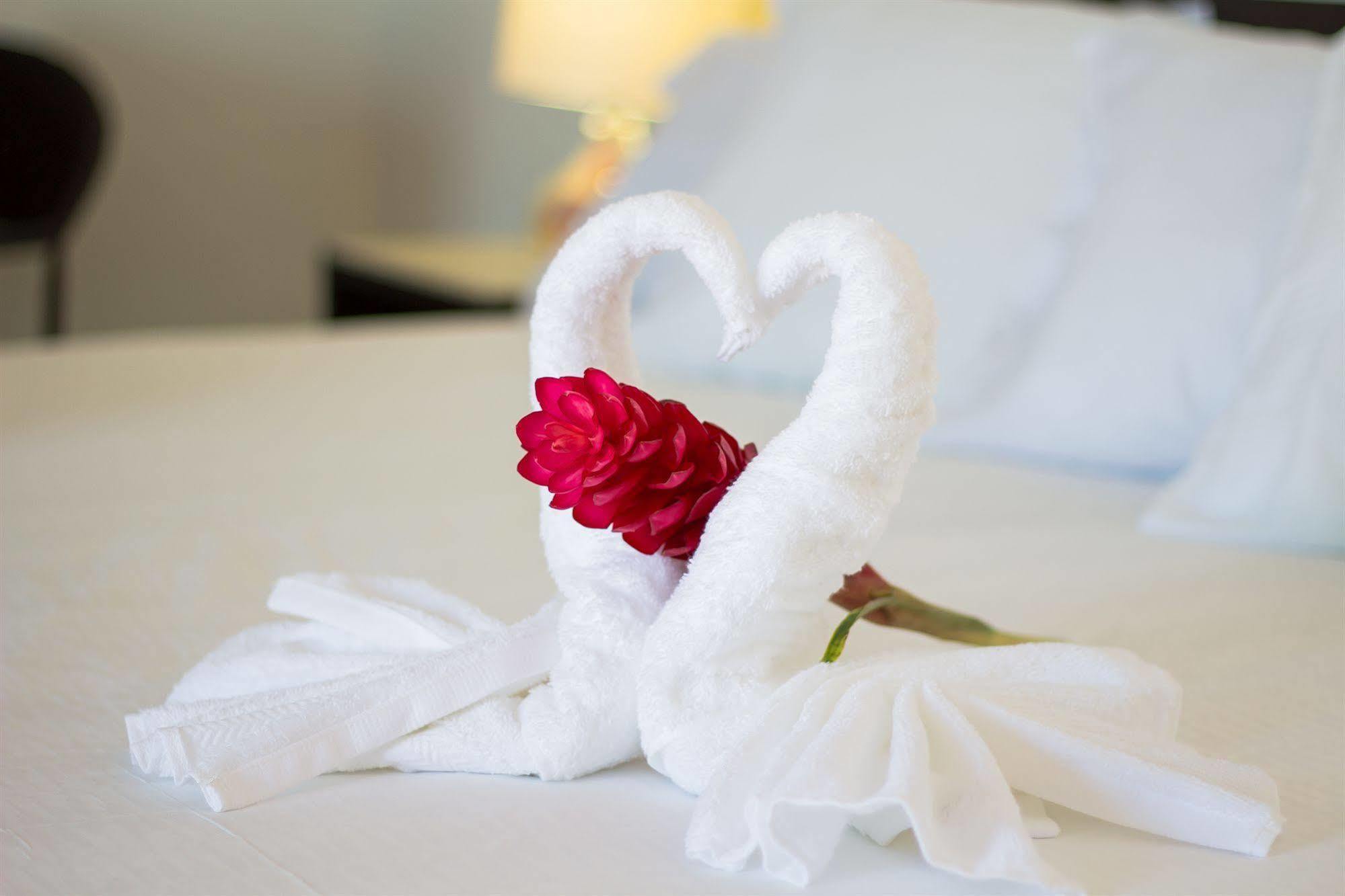 Suite master con terraza