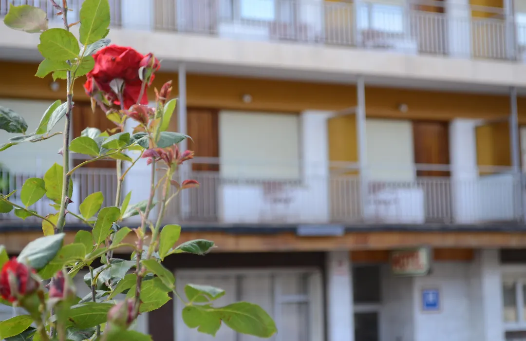 Hotel Mi Casa-1