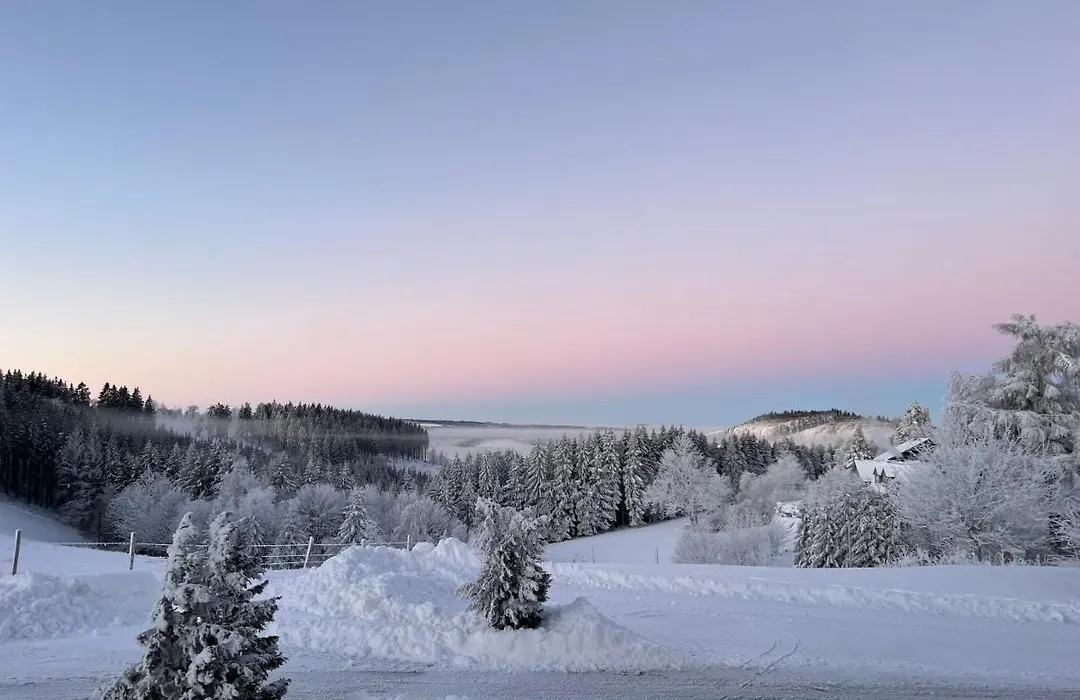 Berghotel Lenneplaetze Winterberg-1