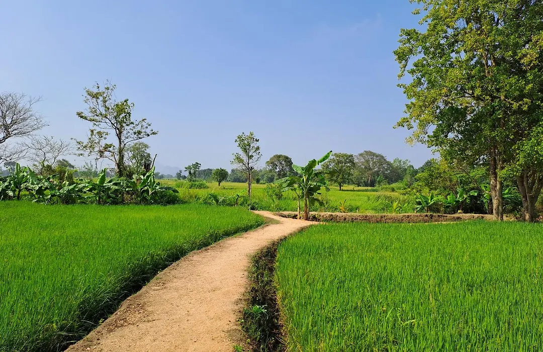 The Nature Park Villa-1