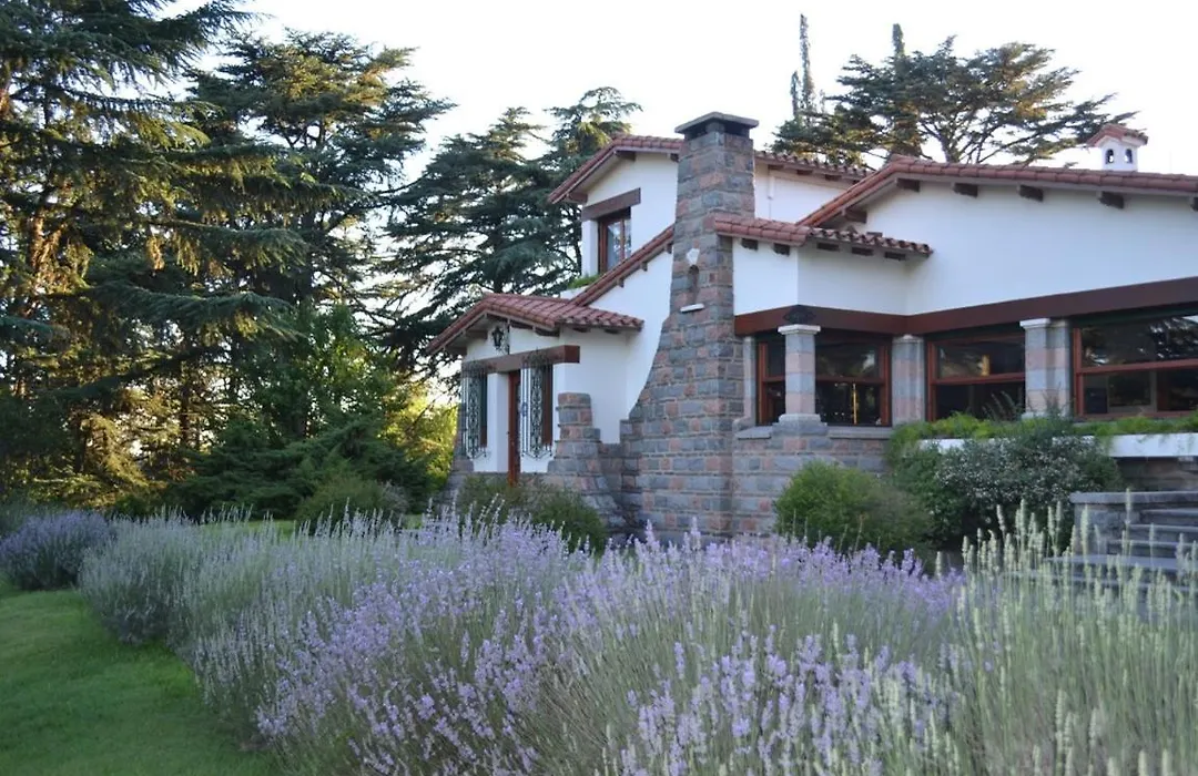 Ca'Montana Hostal Boutique-1