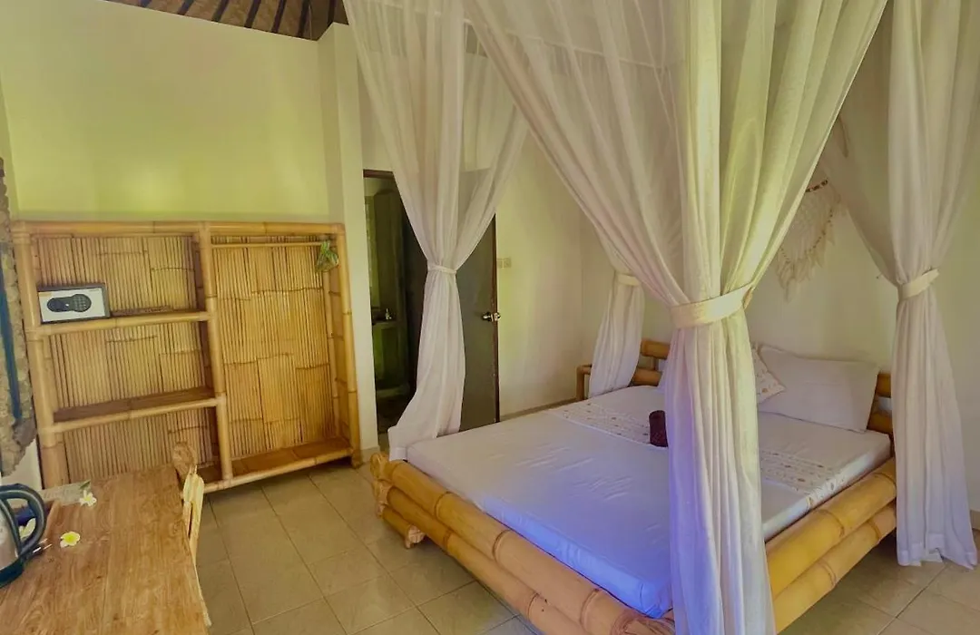 Green Coco House-1
