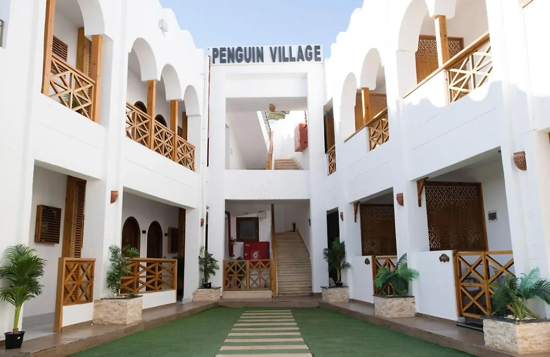 Penguin Village Dahab-1