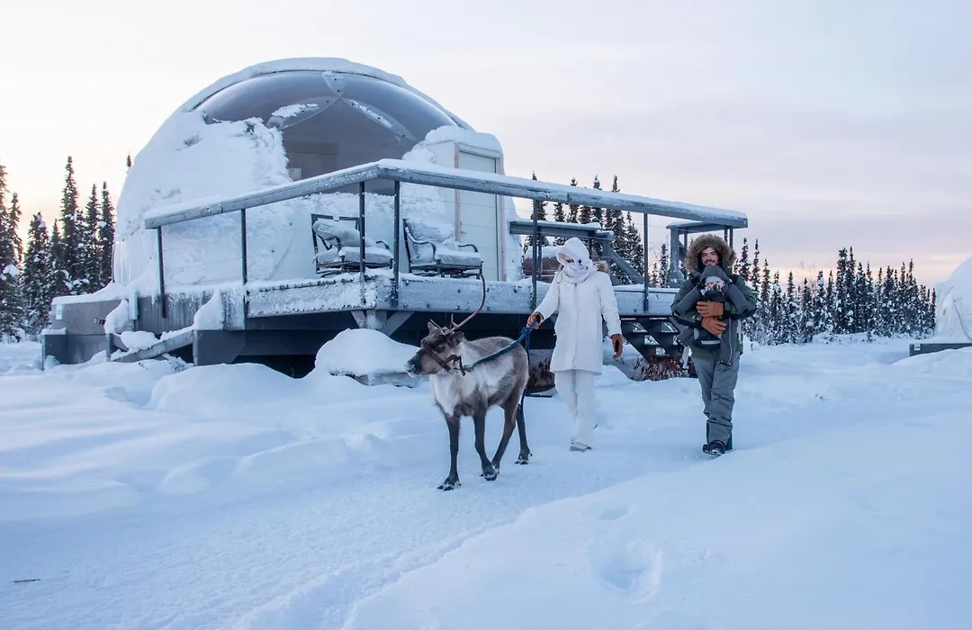 Borealis Basecamp-1