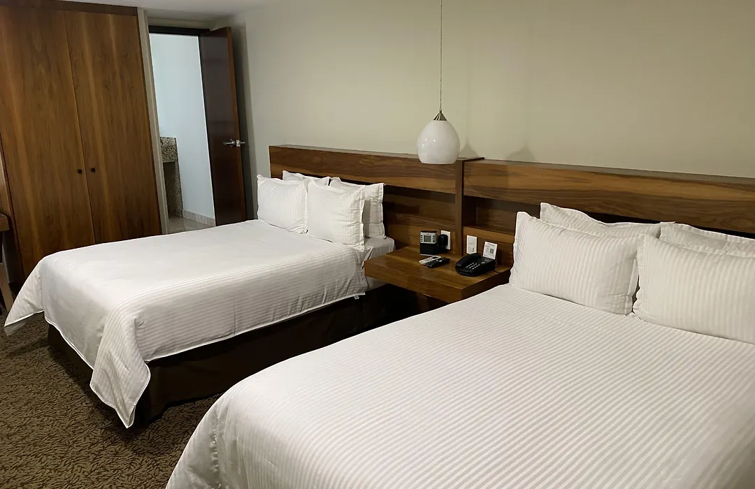 Wyndham Garden Mexico City - Polanco-1