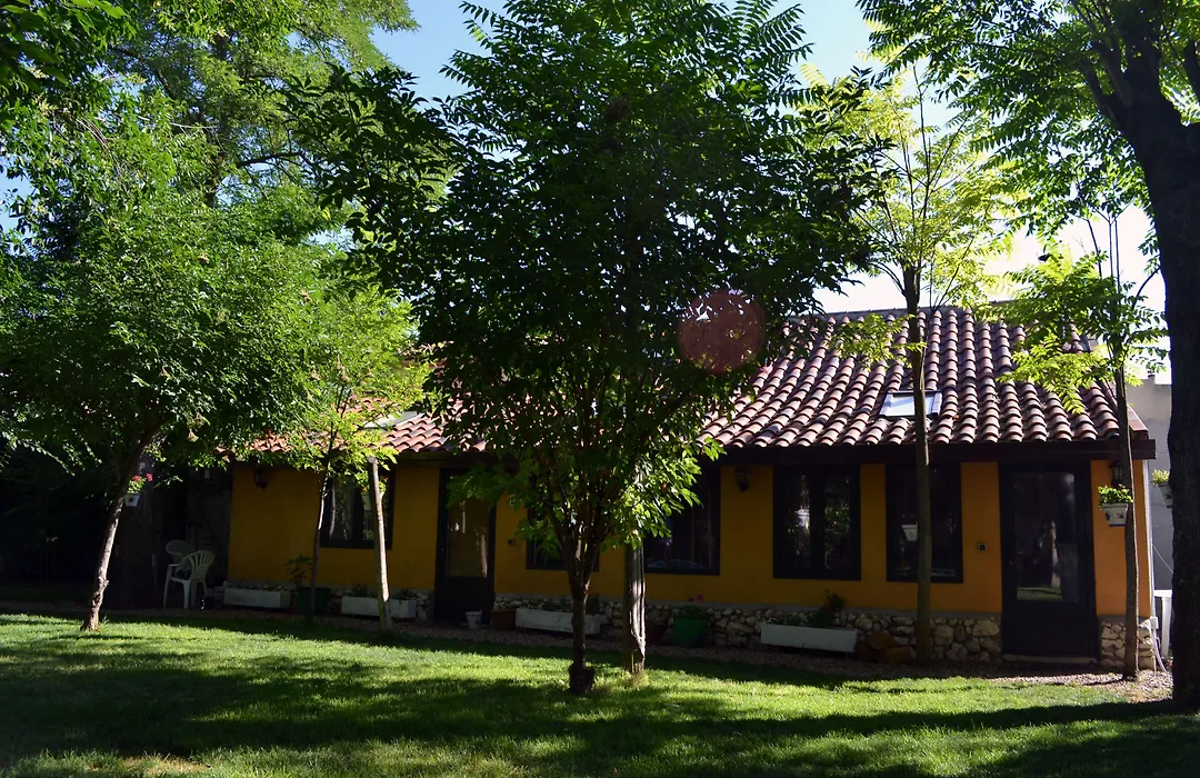 La Mesnadita-1