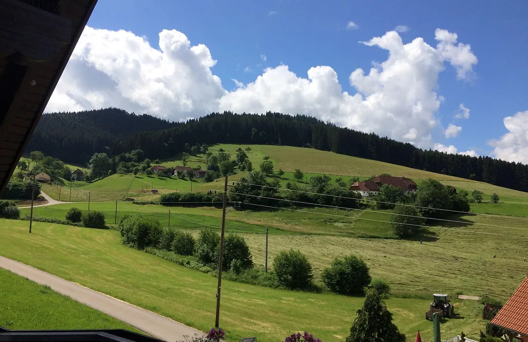 Gasthof Richebächli-1
