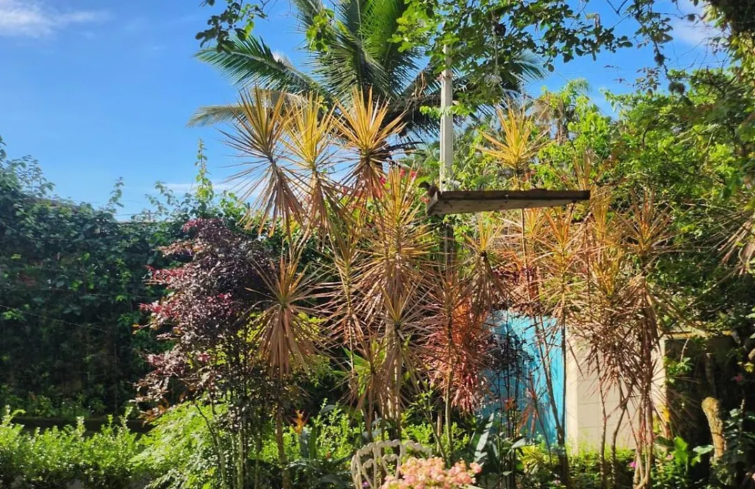 Hospedagem Lagoinha-1