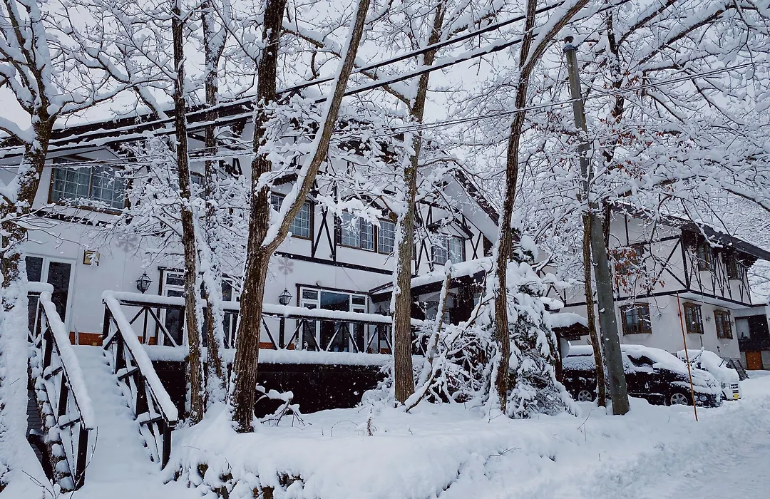 Apricot Pension-1