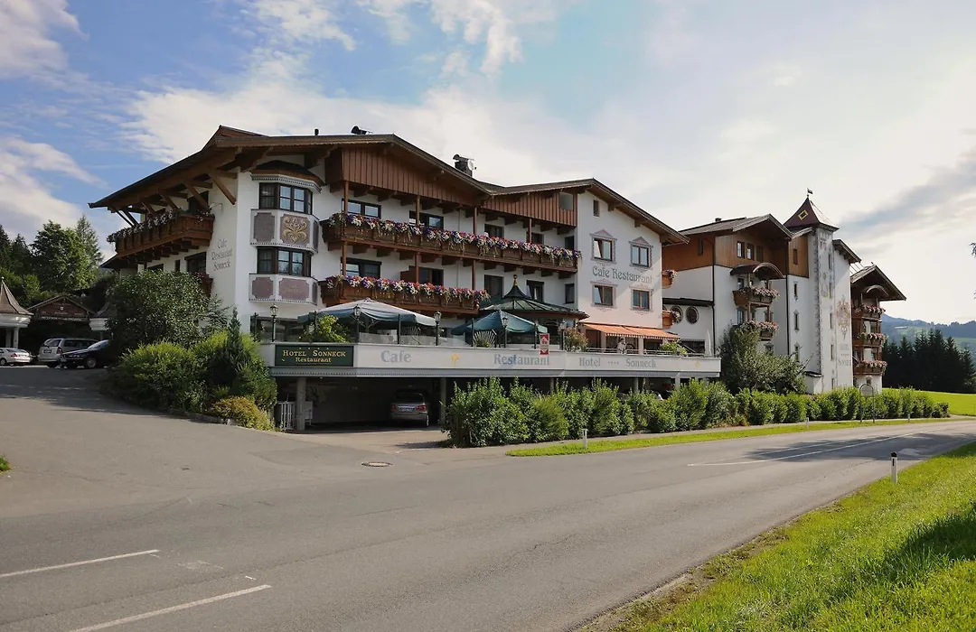 Hotel Sonneck-1