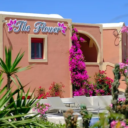 Pension The Flower-2
