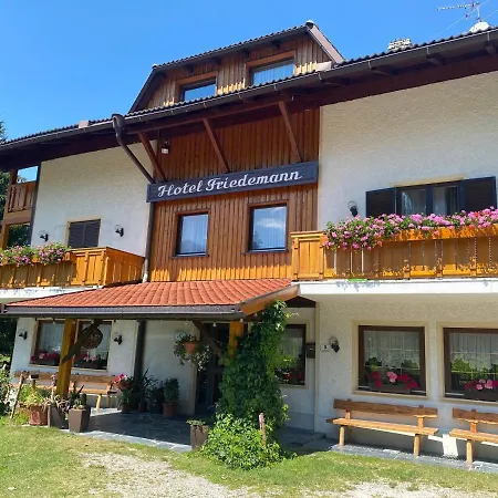 Hotel Friedemann-3