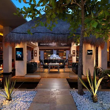 The Reserve Paradisus Playa Del Carmen (Adults Only)-2
