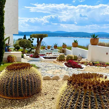 Casa de oro Alma-3