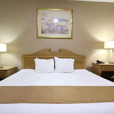 Hotel Madero Express-3