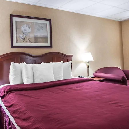 Clarion Hotel Palmer Inn-3