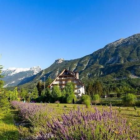 Hotel Mangart-3