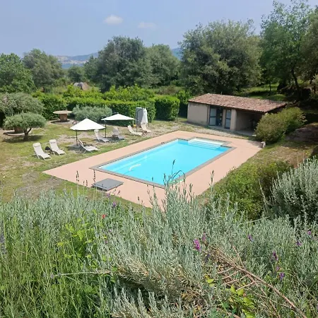 Il Tanaceto-3