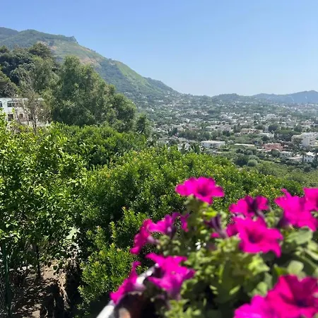 Villa San Francesco-2