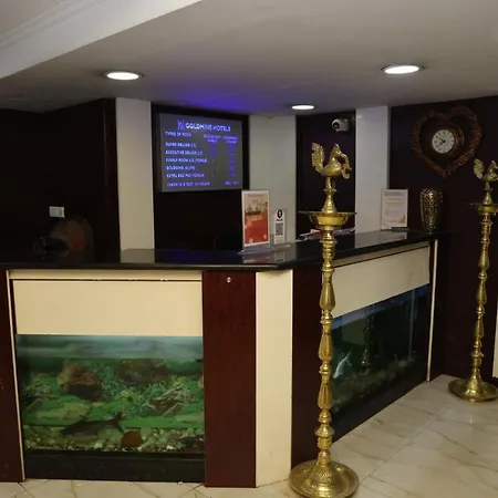 Goldmine Hotels-2
