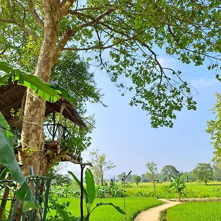 The Nature Park Villa-3