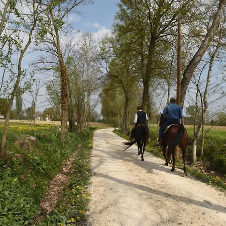 B&B Il Sentiero-2