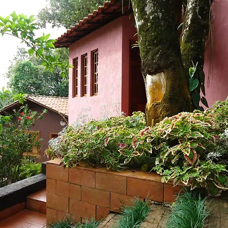 Pousada Aquarela - Macacos-3