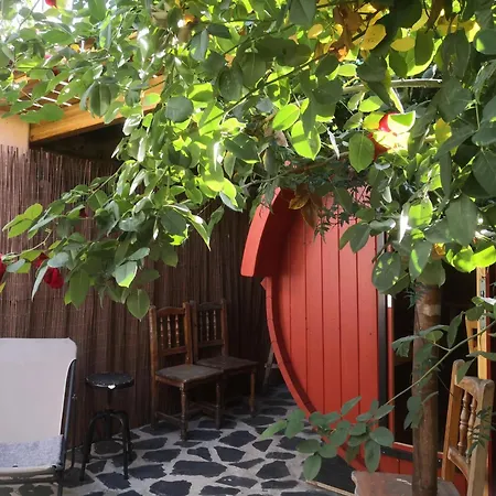 Gato Azul - Coliving-2