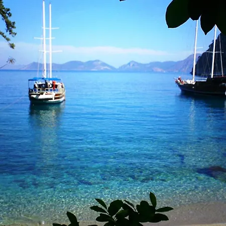 Magic Tulip Beach Hotel-2