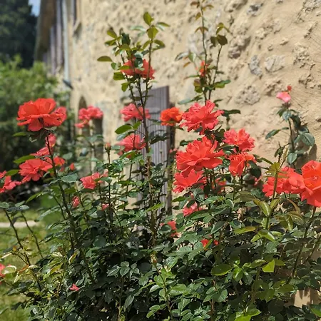 Mas de la Gramillère-2