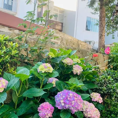 Invicta Porto Guest House-2