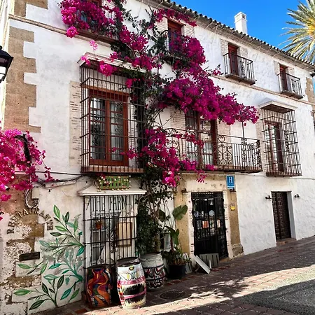 Cse The Old House Marbella-3