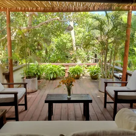 Monkey Casa Hotel-3