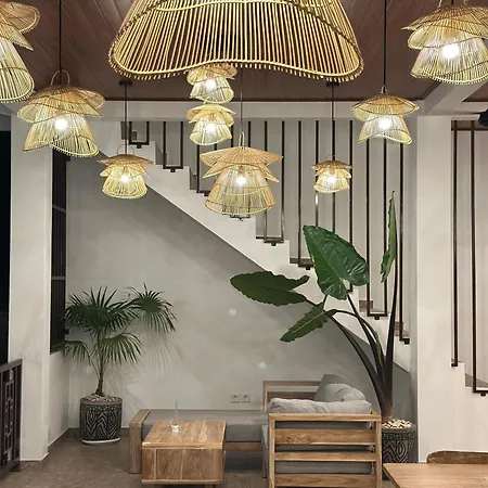Green Coco House-2