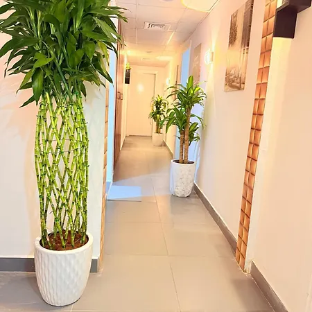 Orchid International-2
