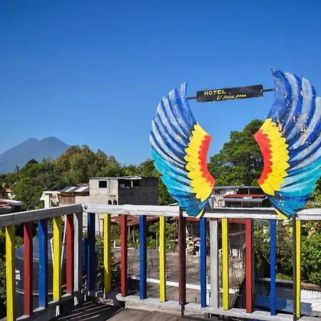 Hotel Amigo-3