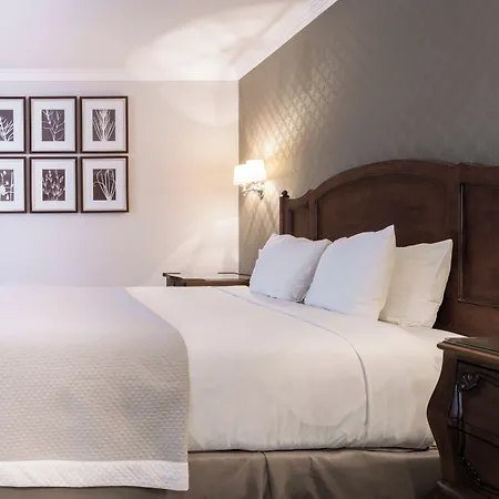 Woodcrest Hotel Cupertino-3