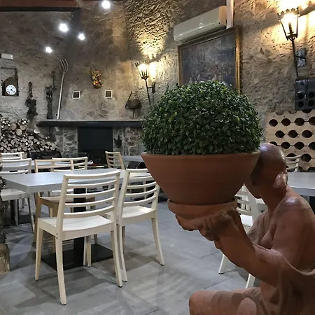 Hotel Mas Palou-2