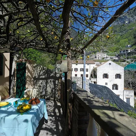 Lemon Garden-3
