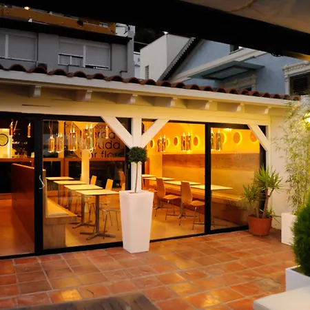 Hotel Domus-2