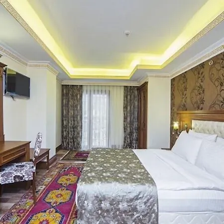Lausos Palace Hotel Sisli-2