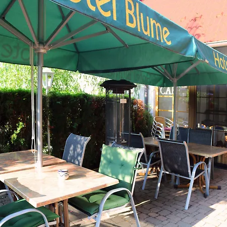 Hotel Blume-3