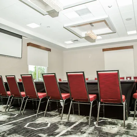 Hilton Garden Inn Tampa Suncoast Parkway-3